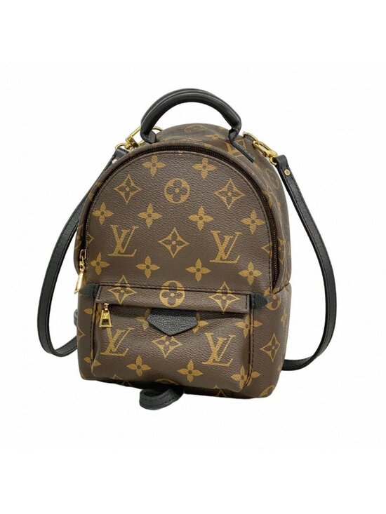 Louis Vuitton Backpack Monogram Palm Springs Mini Brown main image 5